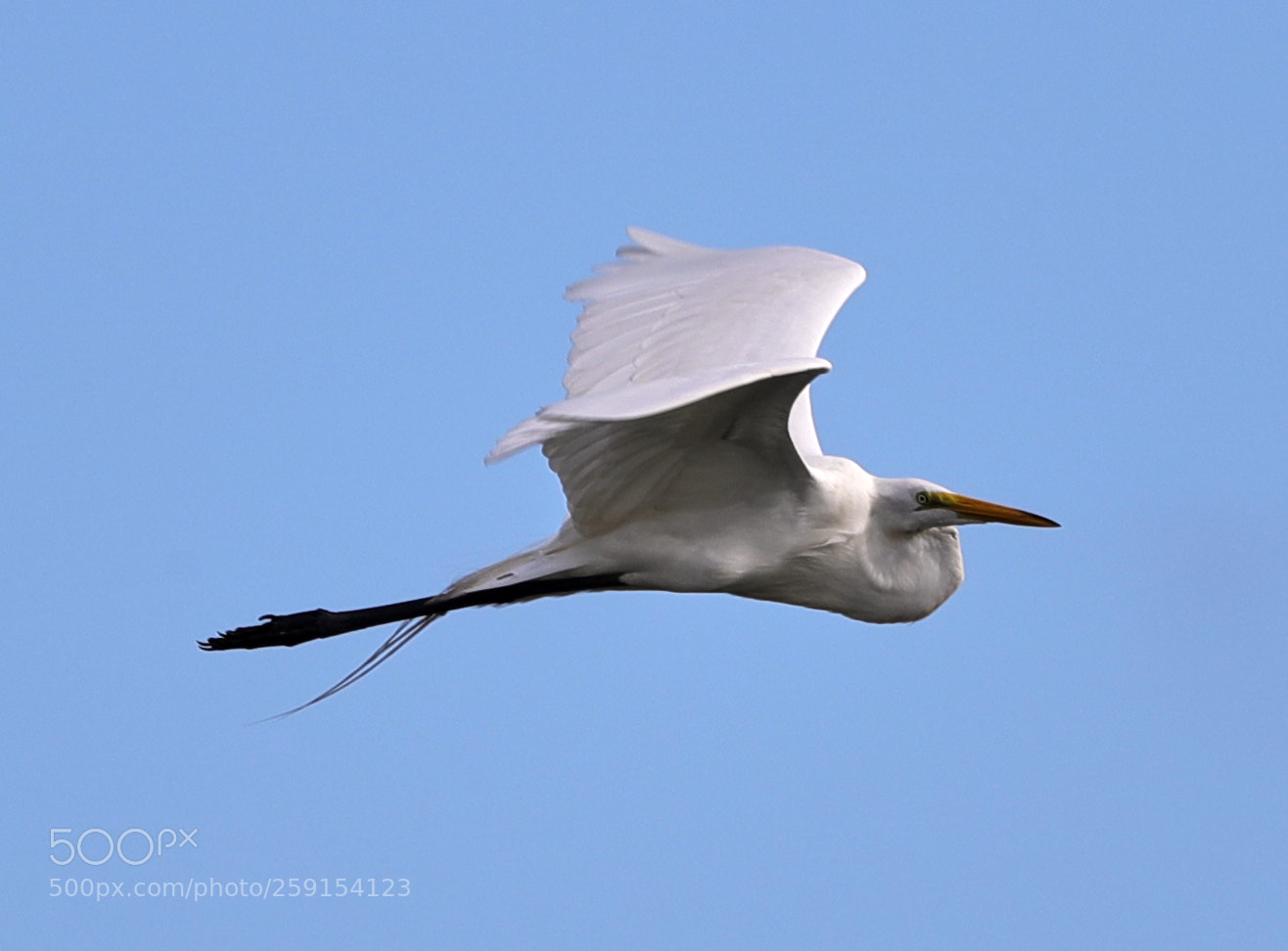 Canon EOS-1D X Mark II sample photo. 05-23-18-0019391.jpg photography