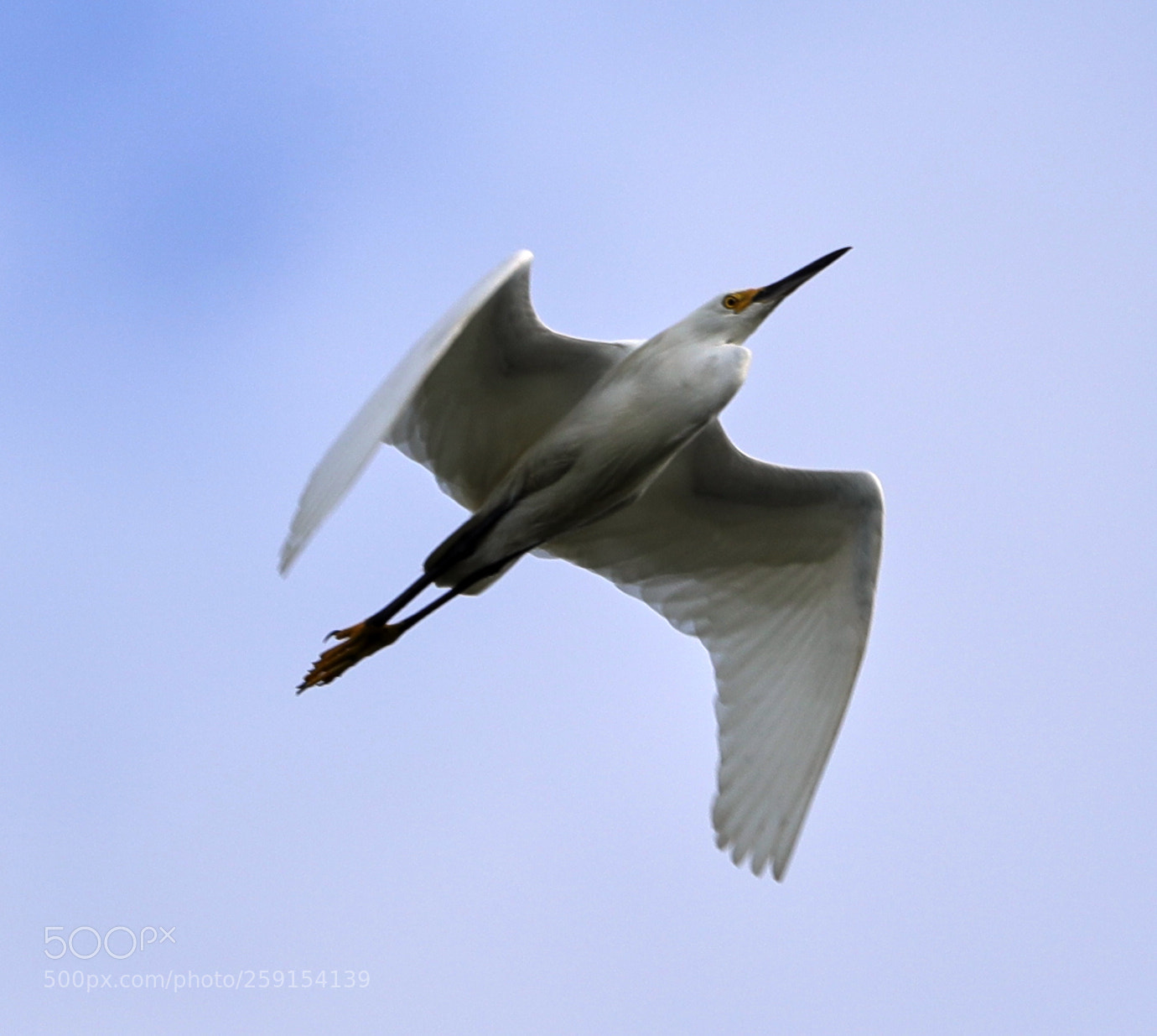Canon EOS-1D X Mark II sample photo. 05-23-18-0019362.jpg photography