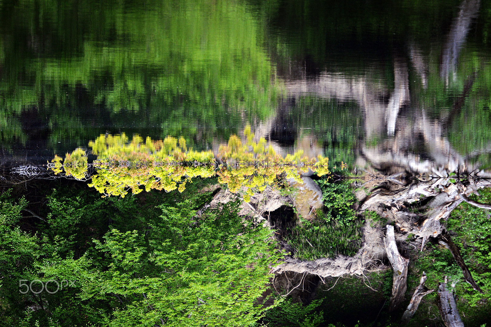 Nikon D3200 sample photo. Upside down photography