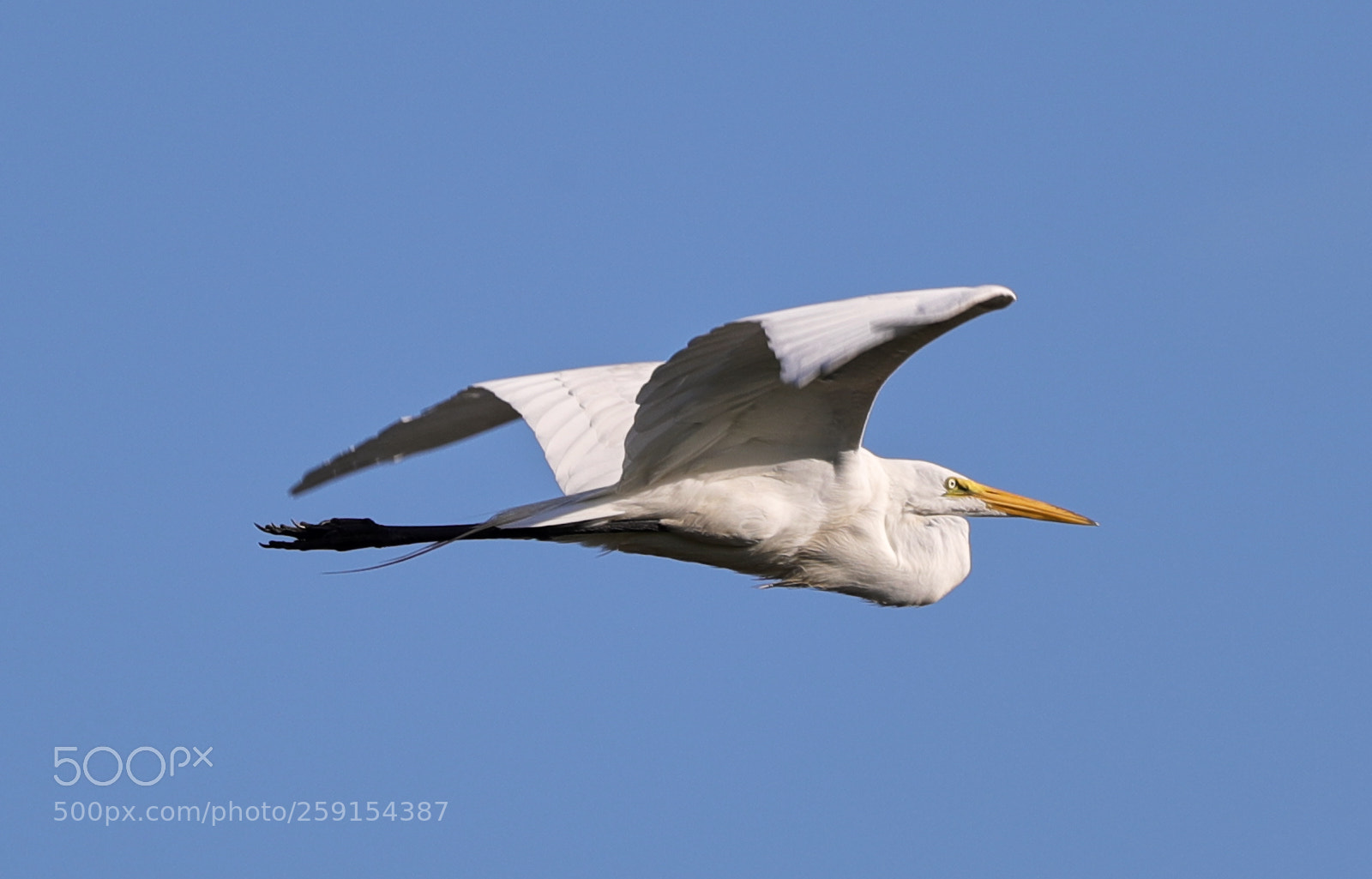 Canon EOS-1D X Mark II sample photo. 05-23-18-0019479.jpg photography