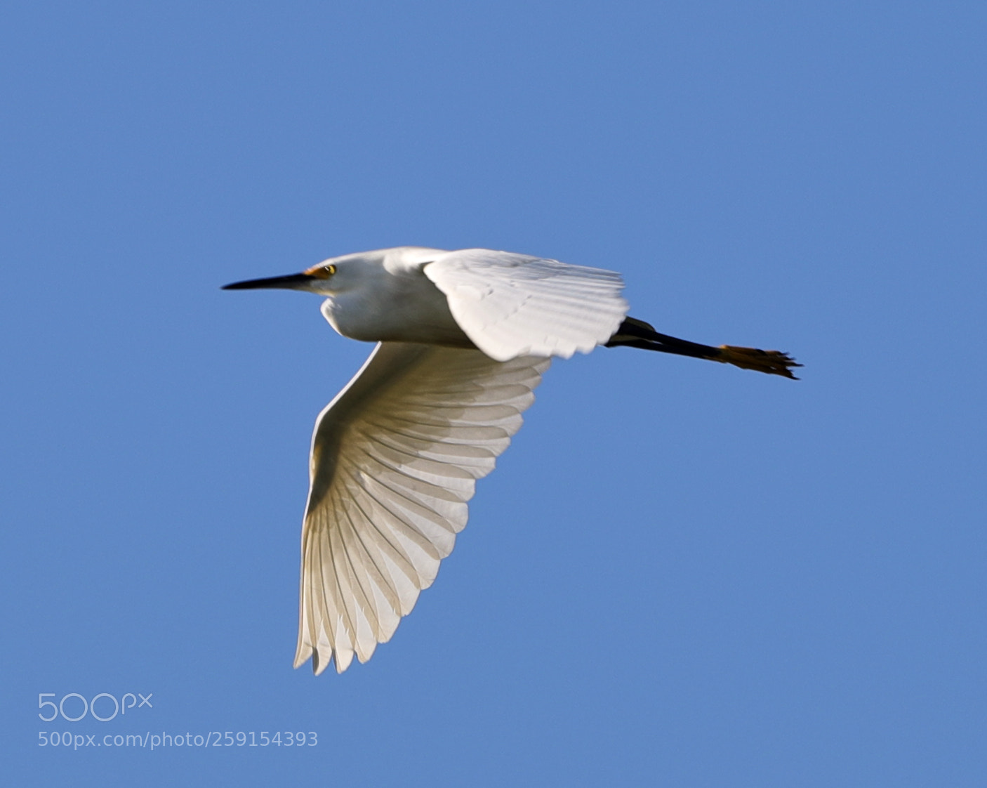 Canon EOS-1D X Mark II sample photo. 05-23-18-0019477.jpg photography