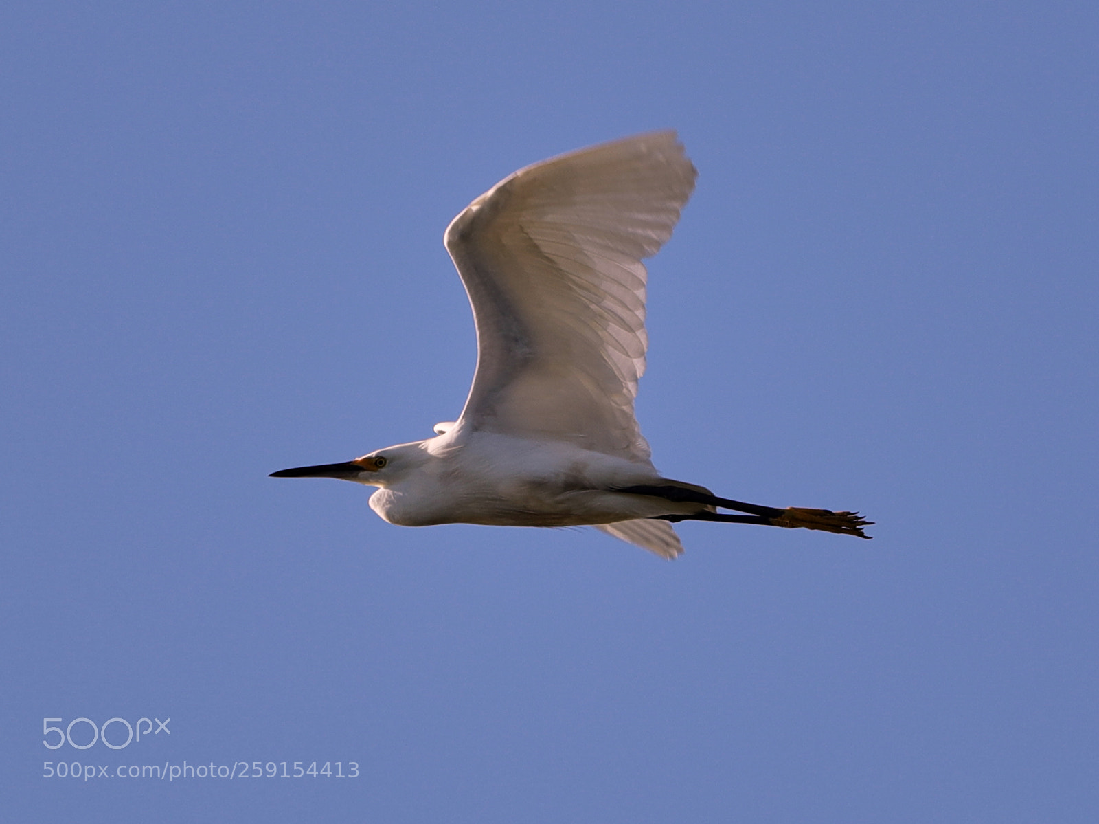 Canon EOS-1D X Mark II sample photo. 05-23-18-0019476.jpg photography
