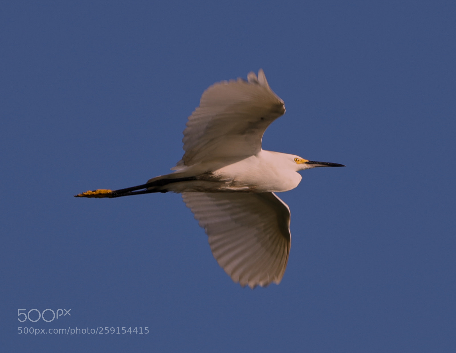 Canon EOS-1D X Mark II sample photo. 05-23-18-0019468.jpg photography