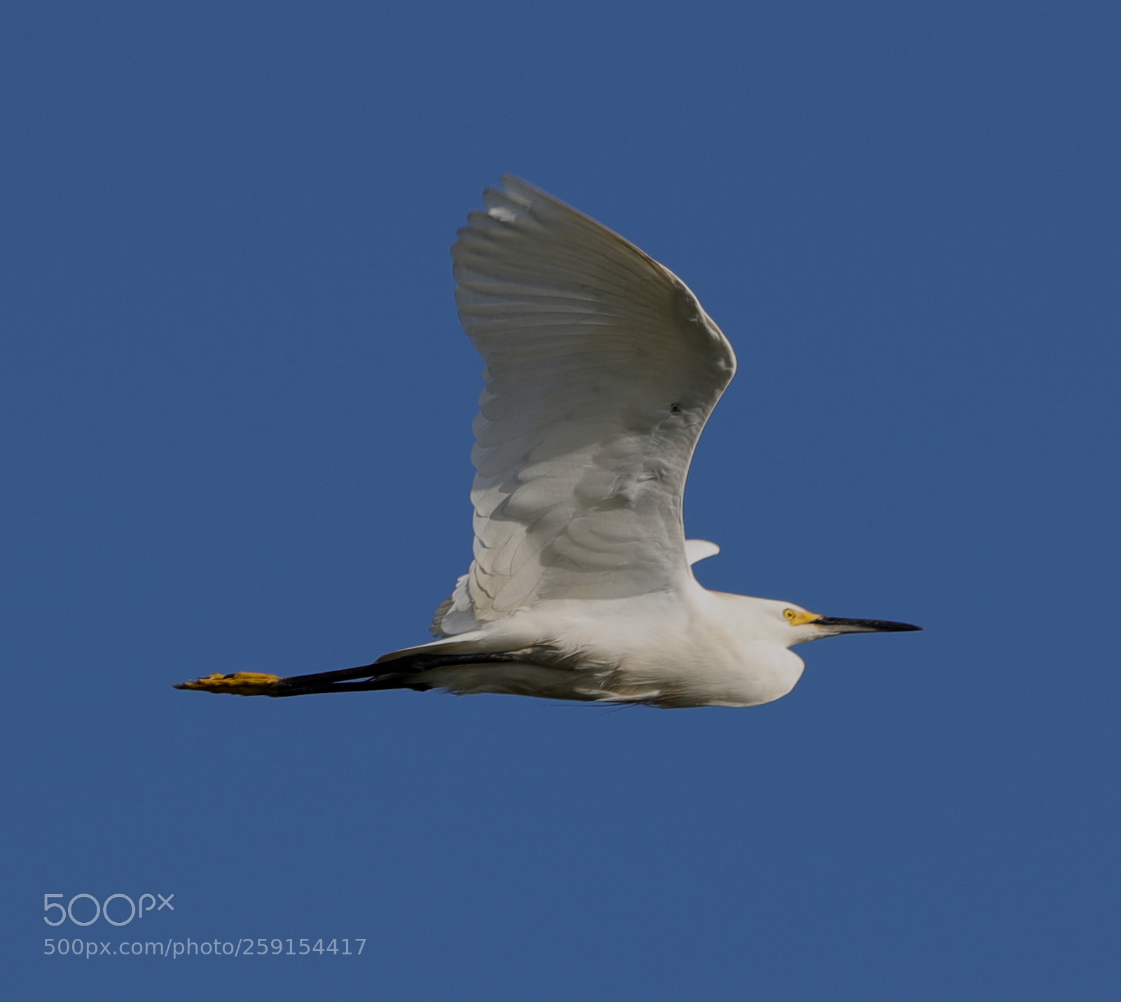 Canon EOS-1D X Mark II sample photo. 05-23-18-0019467.jpg photography