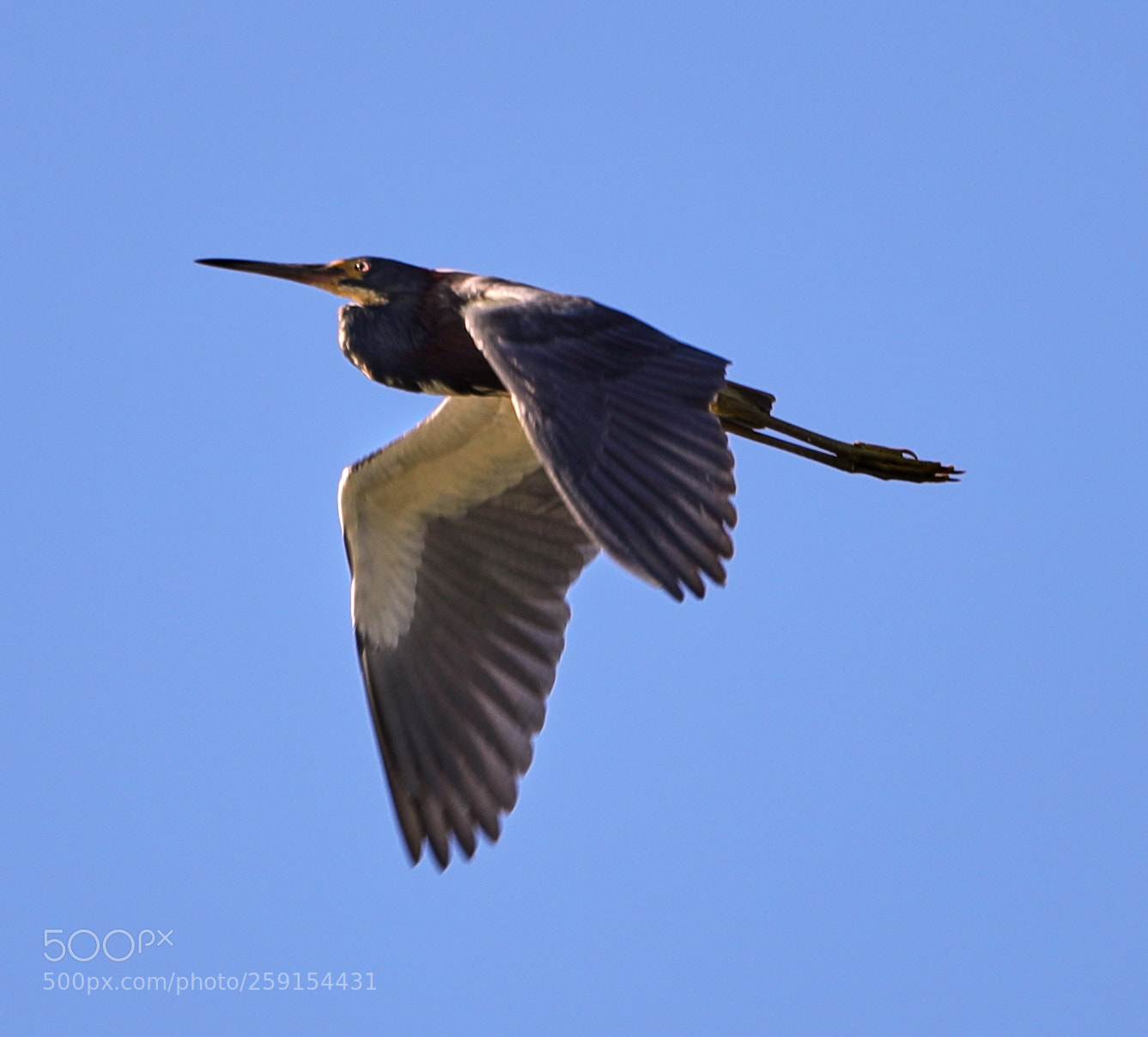 Canon EOS-1D X Mark II sample photo. 05-23-18-0019462.jpg photography