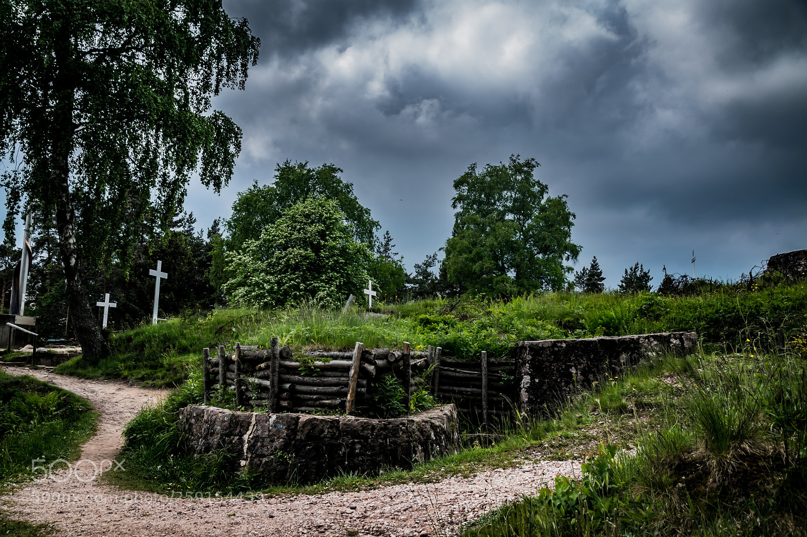 Nikon D3300 sample photo. 1914 1918 champs de photography