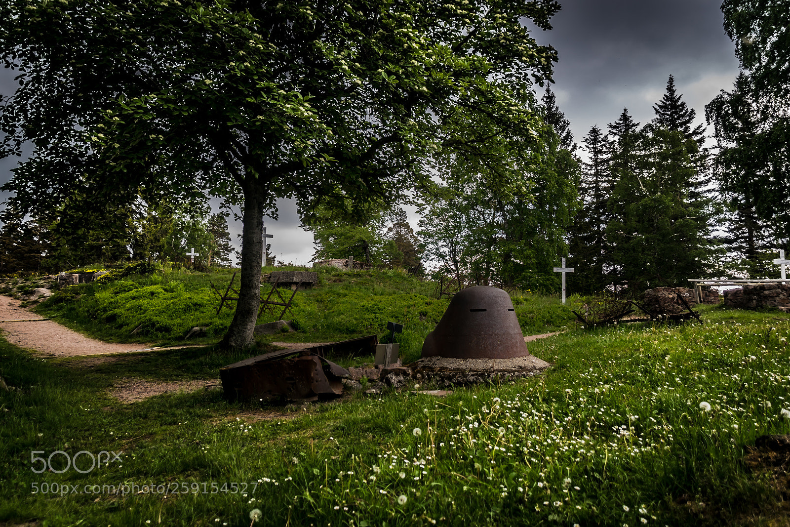 Nikon D3300 sample photo. 1914 1918 champs de photography