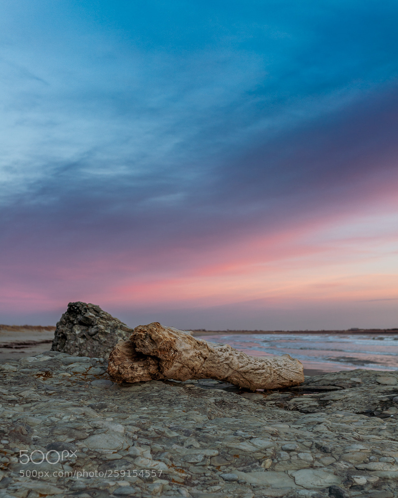 Canon EOS 6D Mark II sample photo. Driftwood photography
