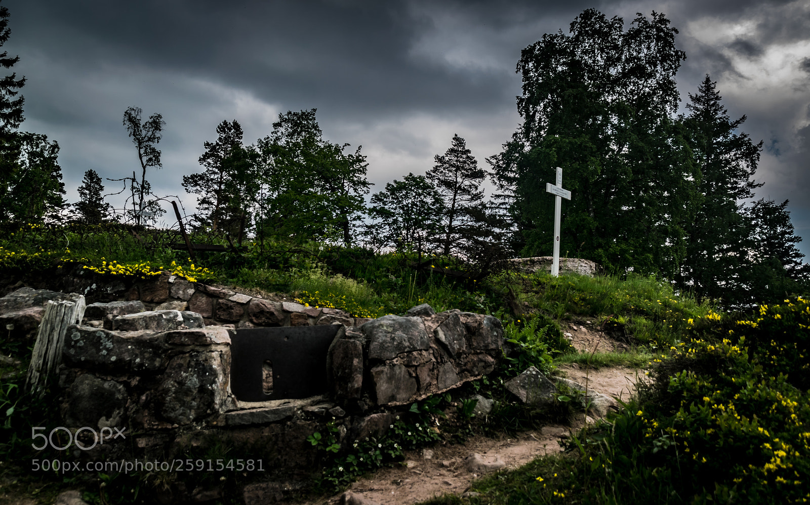 Nikon D3300 sample photo. 1914 1918 champs de photography