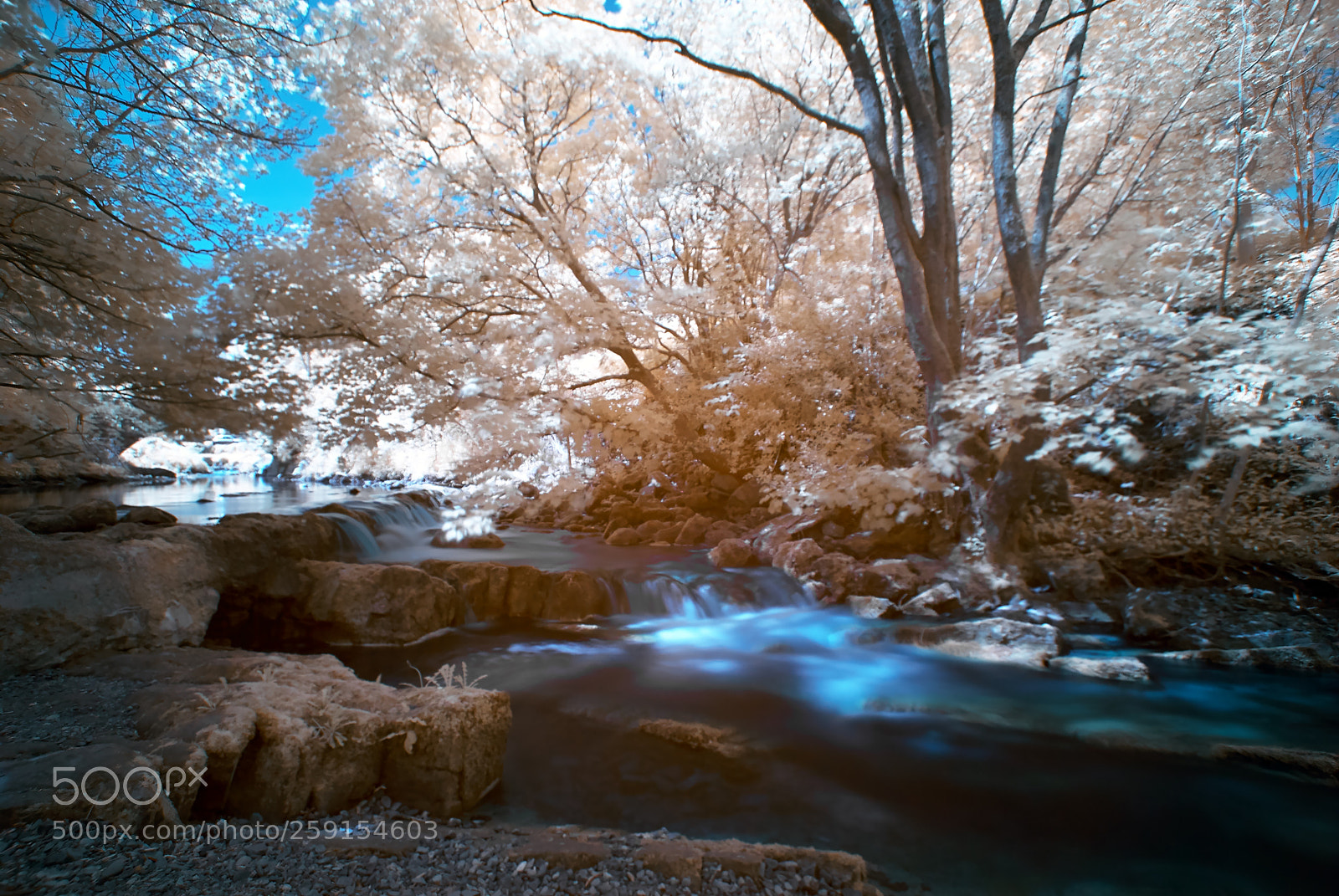 Nikon D200 sample photo. Caldbeck stream colour infared photography