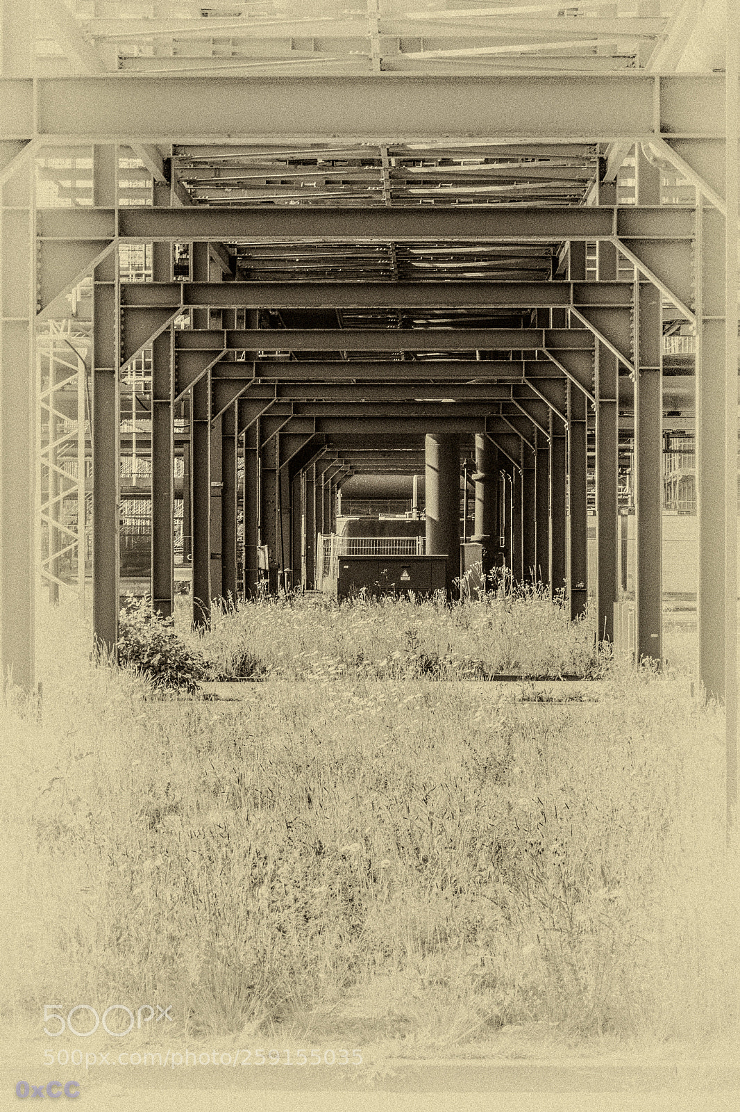 Canon EOS 7D Mark II sample photo. Old industry vs nature photography