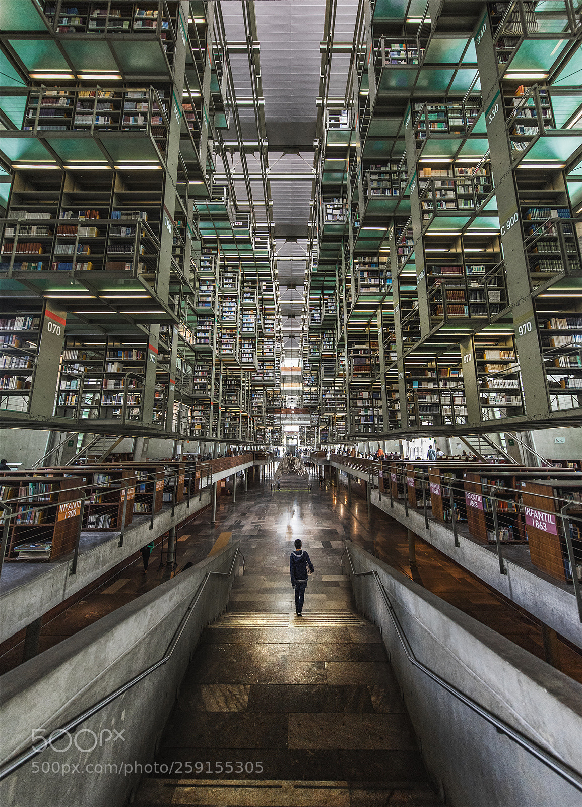 Nikon D810 sample photo. City of books photography