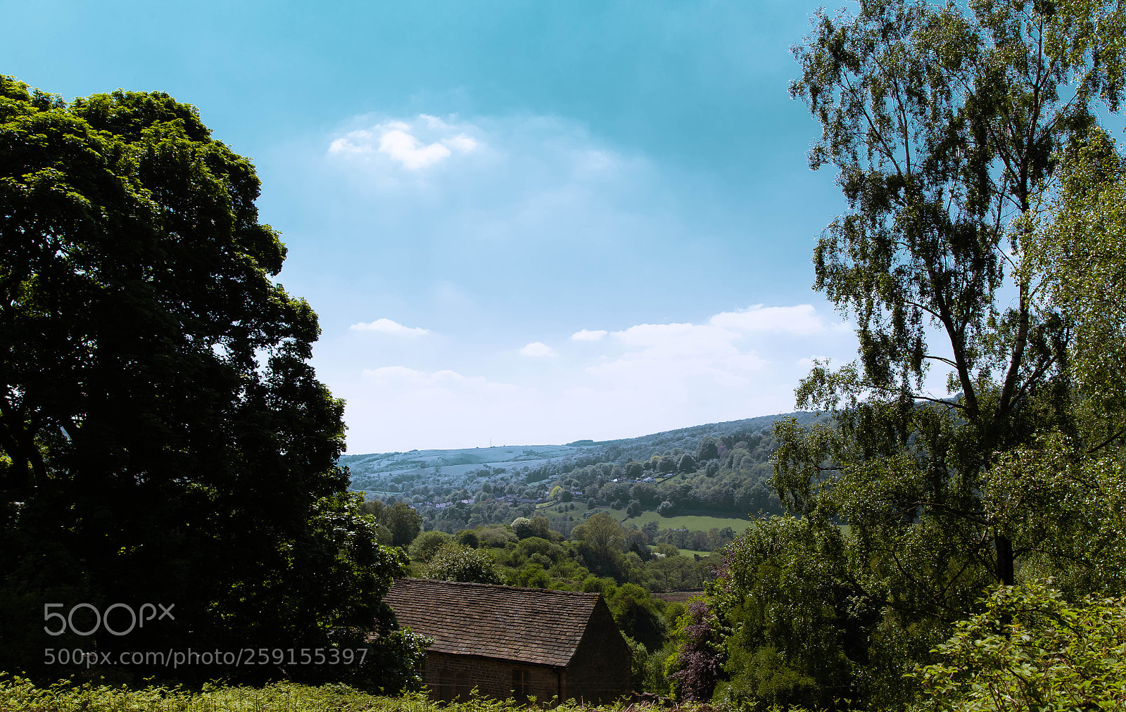 Canon EOS 6D sample photo. The view from the photography
