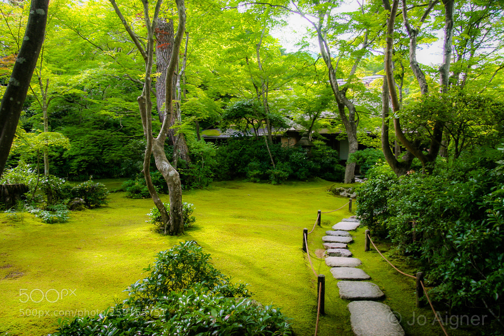 Canon EOS 20D sample photo. Japan photography