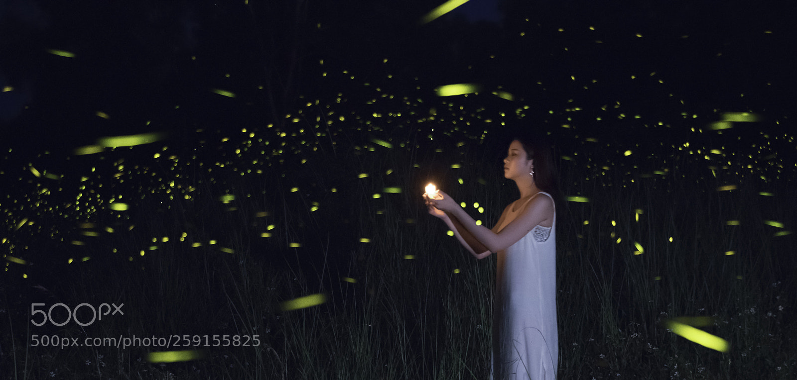 Canon EOS 80D sample photo. Untitled photography