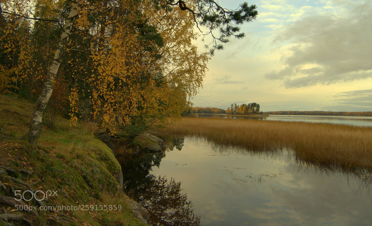 Nikon D200 sample photo. Осенняя лирическая... photography
