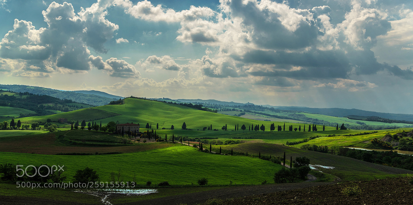 Canon EOS-1D X Mark II sample photo. The color of orcia photography