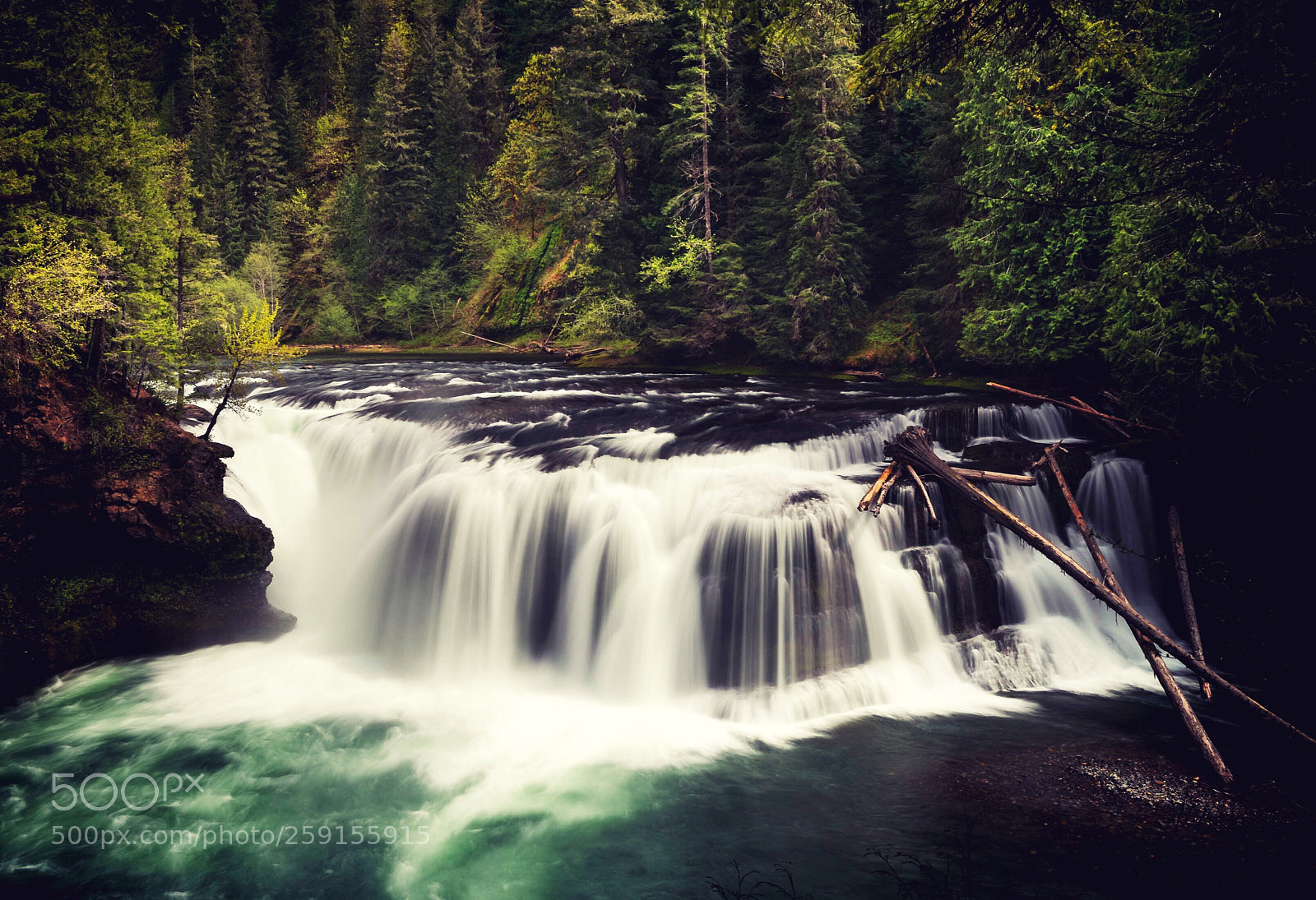 Nikon D810 sample photo. Lower lewis river falls photography