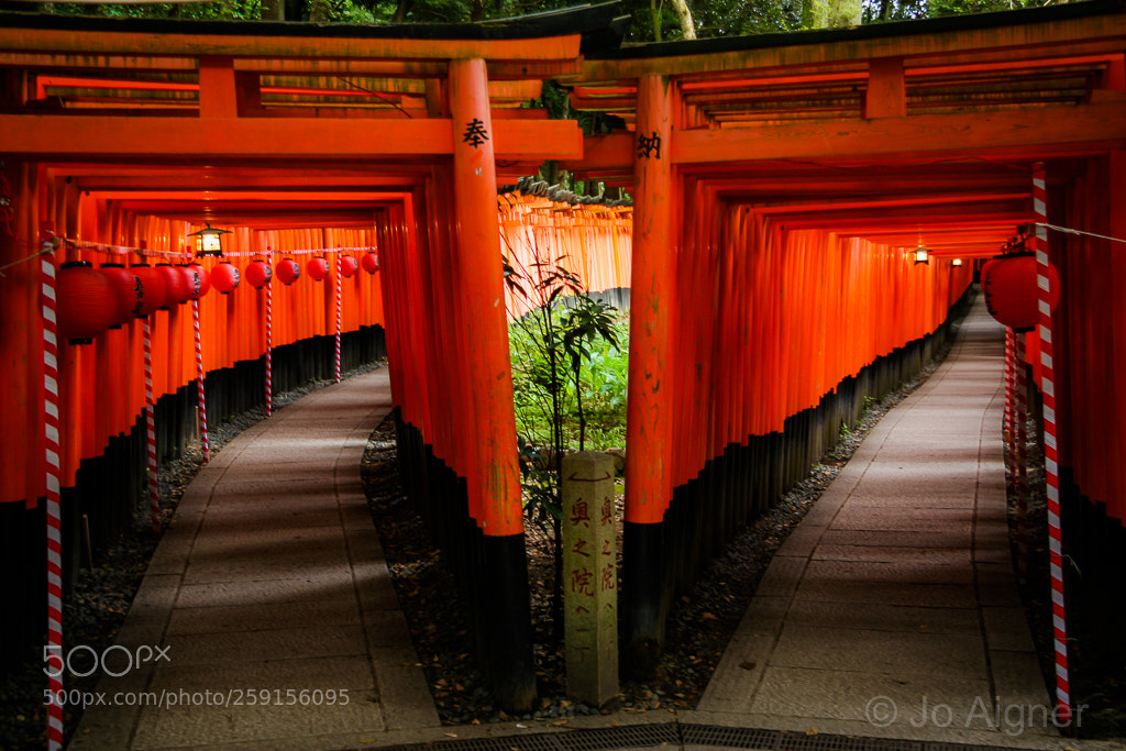 Canon EOS 20D sample photo. Japan photography