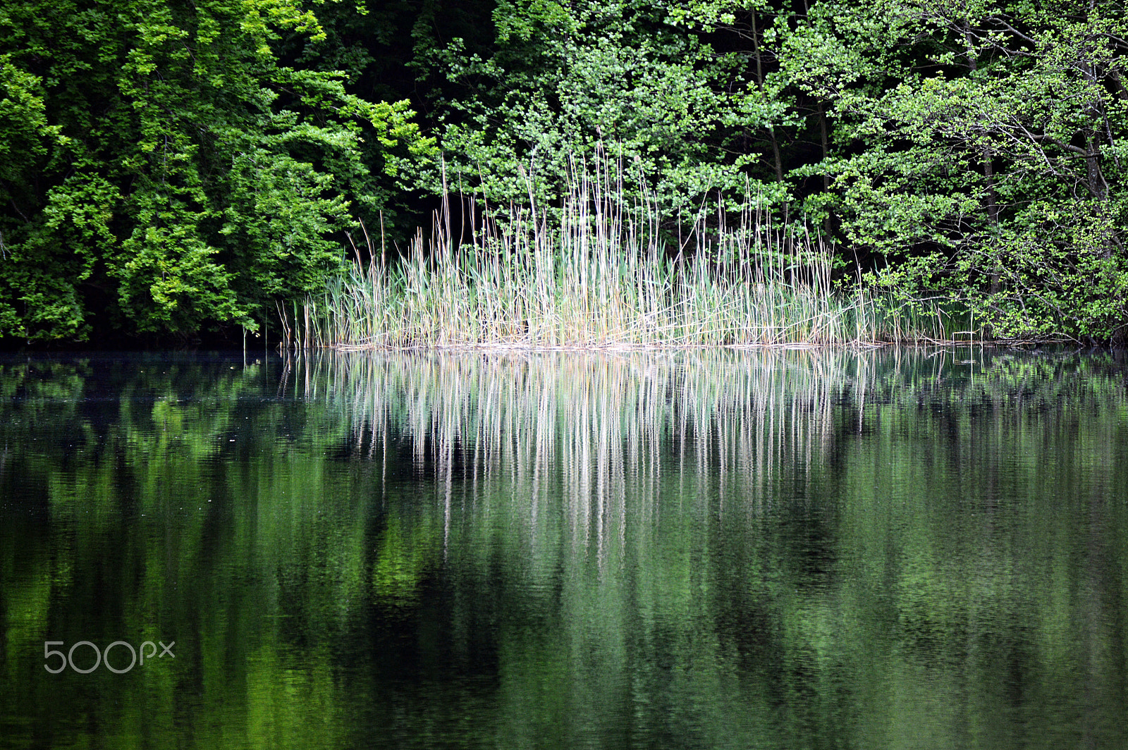 Nikon D3200 sample photo. Reflections photography