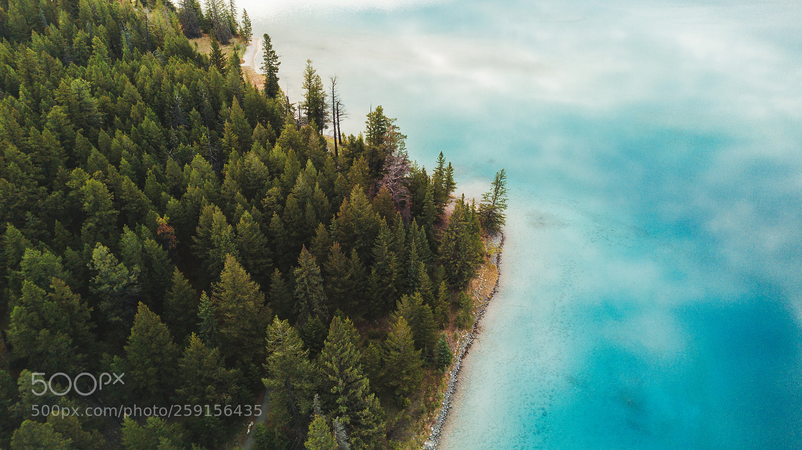 DJI FC220 sample photo. Where lake meets forest photography
