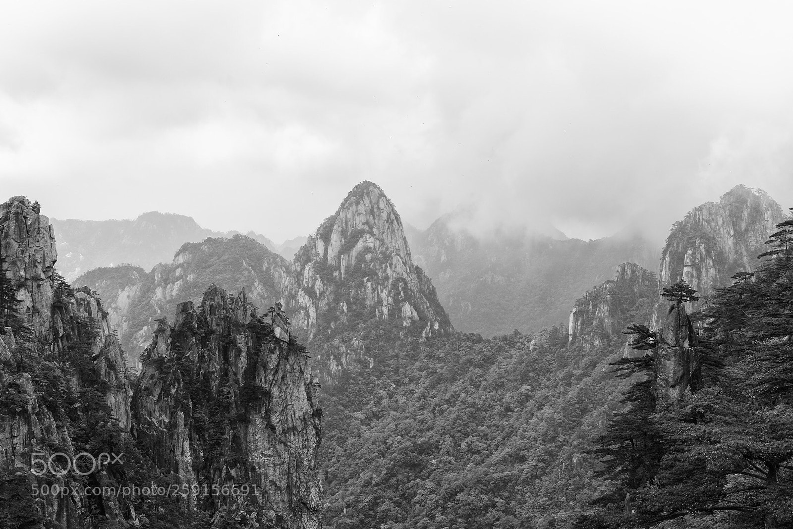 Sony a7R III sample photo. Untitled photography
