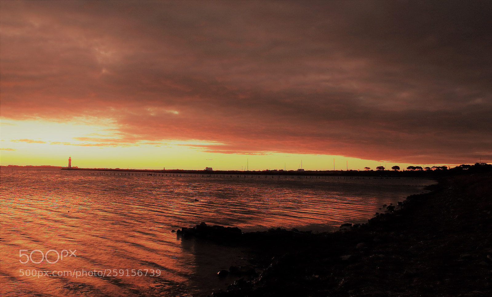 Canon EOS 700D (EOS Rebel T5i / EOS Kiss X7i) sample photo. Etang de thau à marseillan photography