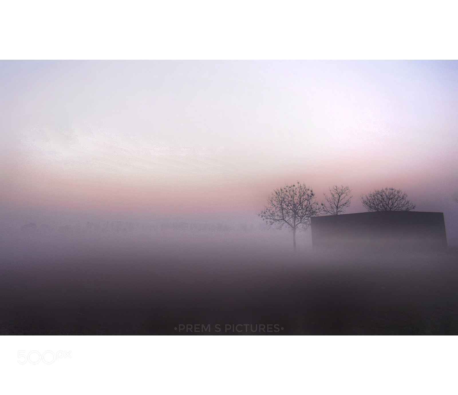Nikon D3300 sample photo. Misty morning photography