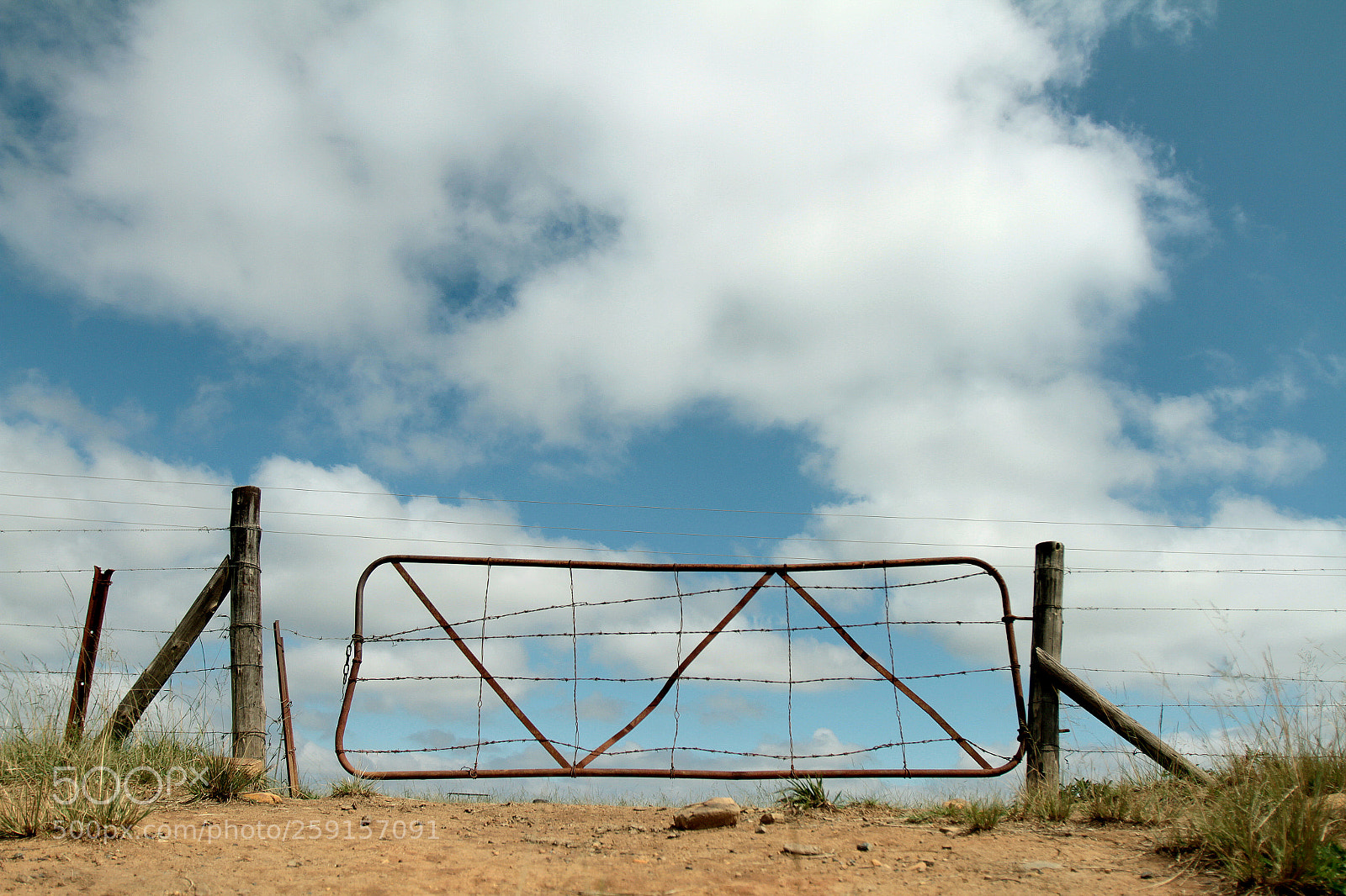 Canon EOS 7D sample photo. Farm gate photography