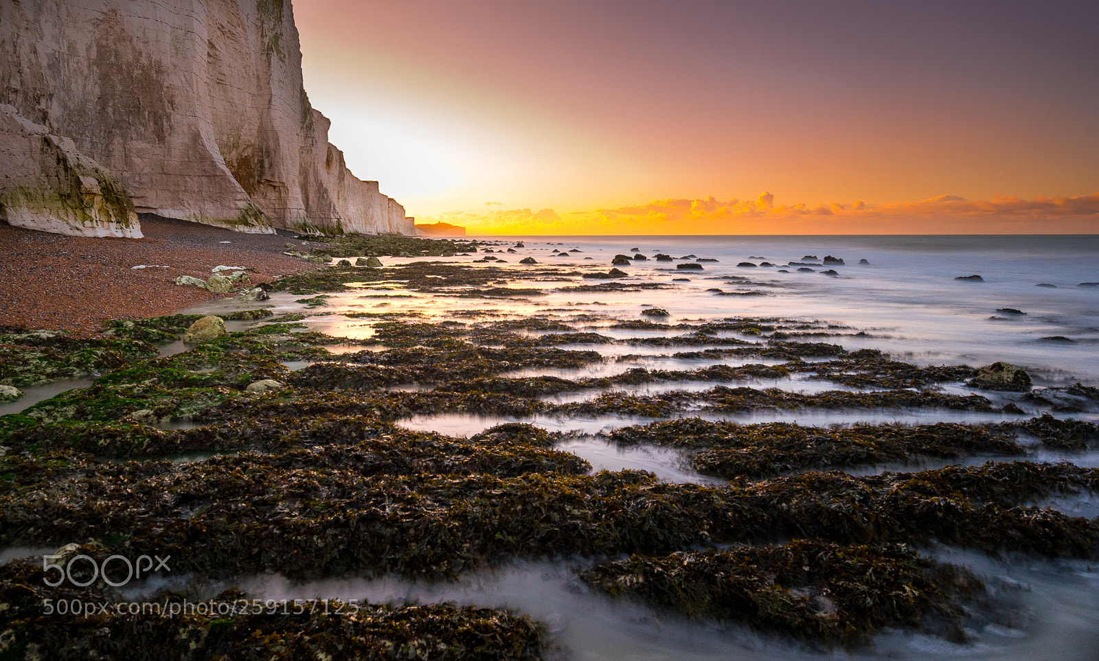 Nikon D750 sample photo. South coast glow photography