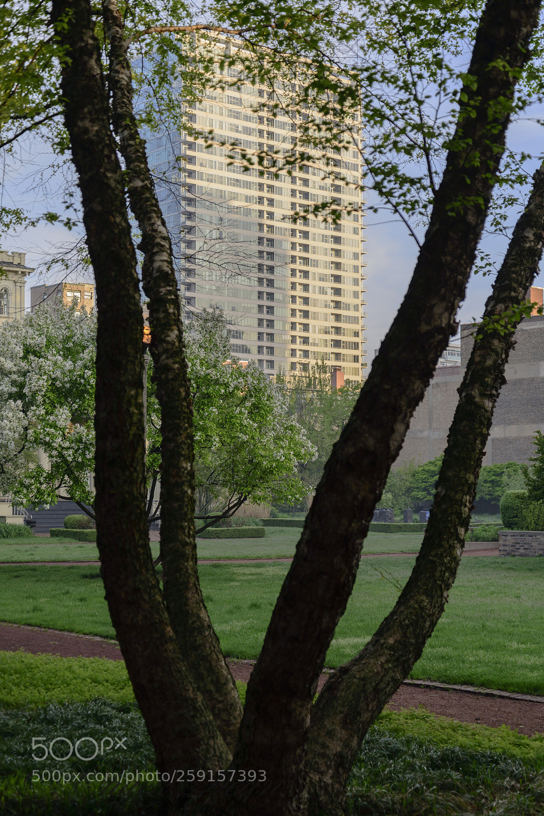 Nikon D800E sample photo. Natural frame photography