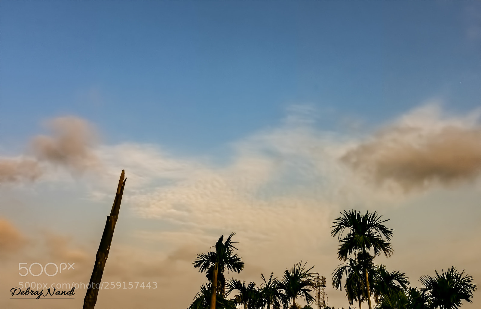 Nikon D7200 sample photo. The golden moment photography