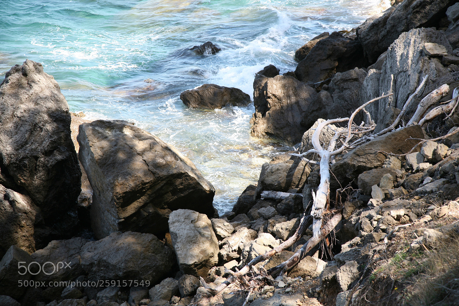 Canon EOS 5D sample photo. Img photography