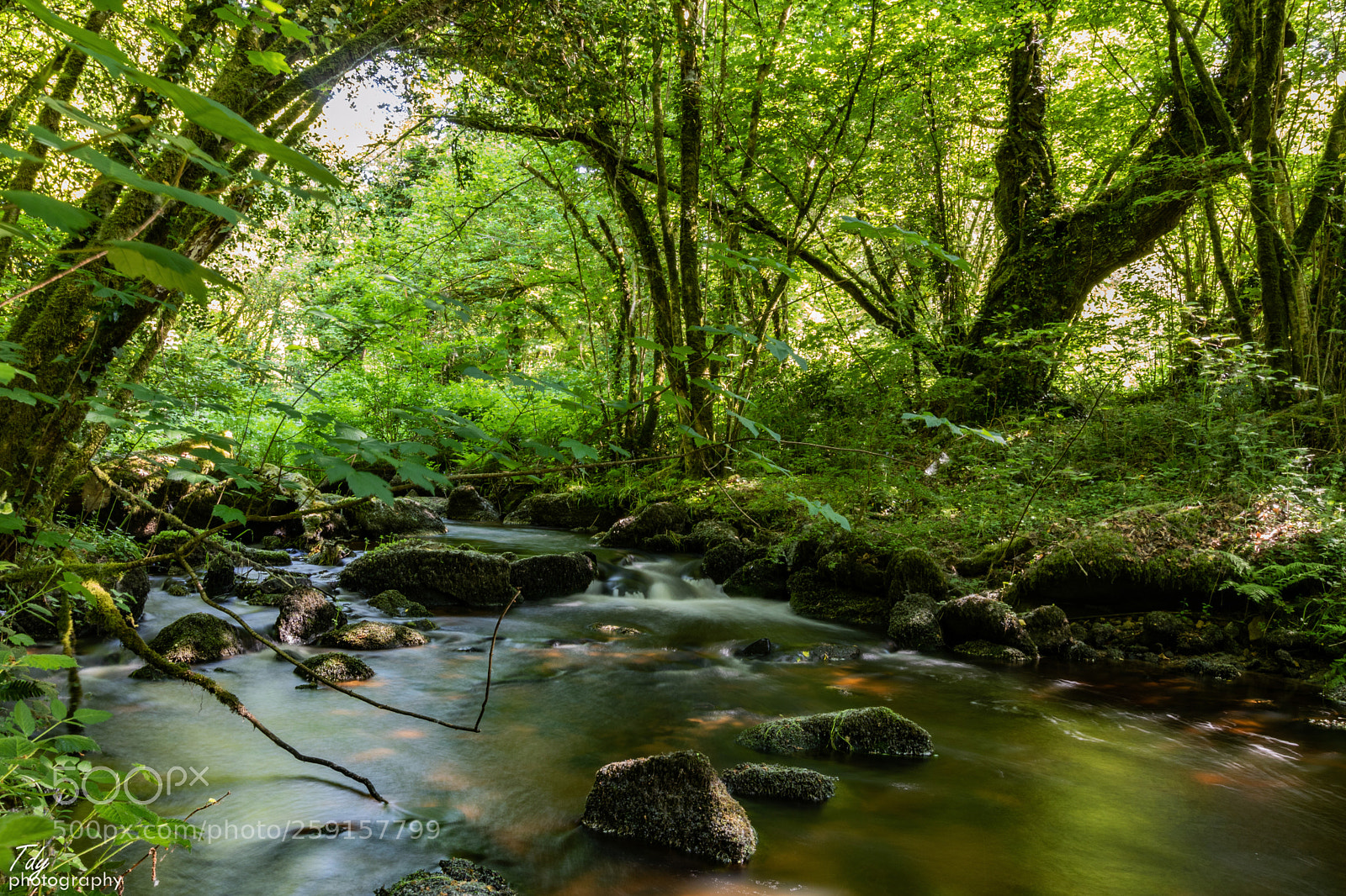 Canon EOS 750D (EOS Rebel T6i / EOS Kiss X8i) sample photo. River photography