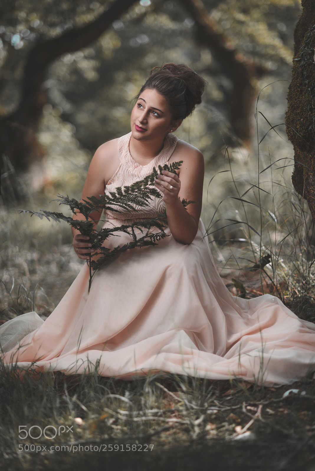 Nikon D800 sample photo. Maria k photography