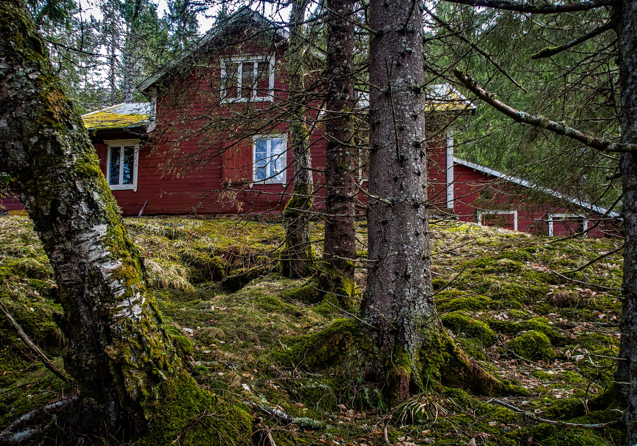 Canon PowerShot G5 X sample photo. Red house in the forest photography