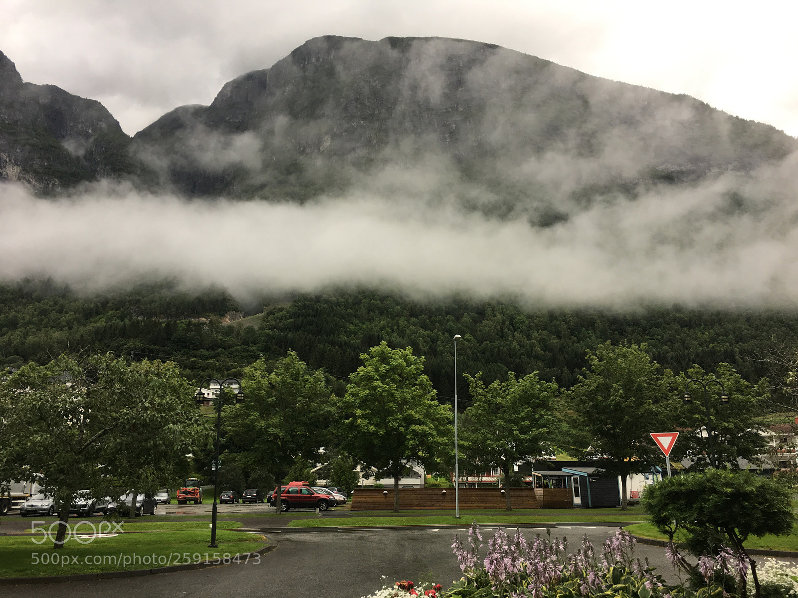 Apple iPhone 6s sample photo. Foggy morning  photography