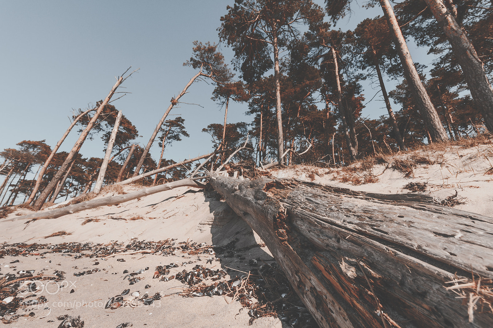 Canon EOS 60D sample photo. Wild baltic sea photography