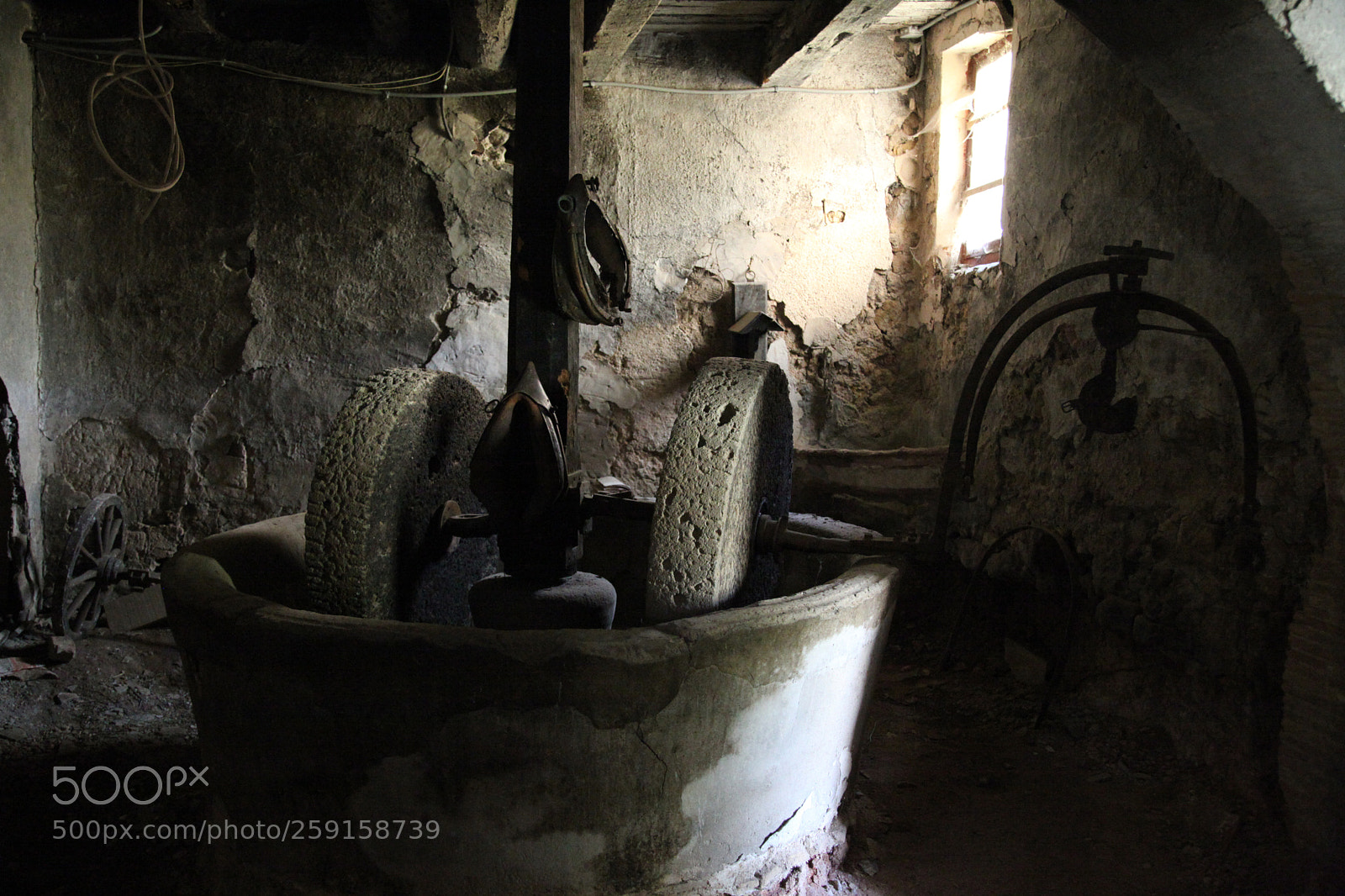 Canon EOS 5D Mark II sample photo. Img photography