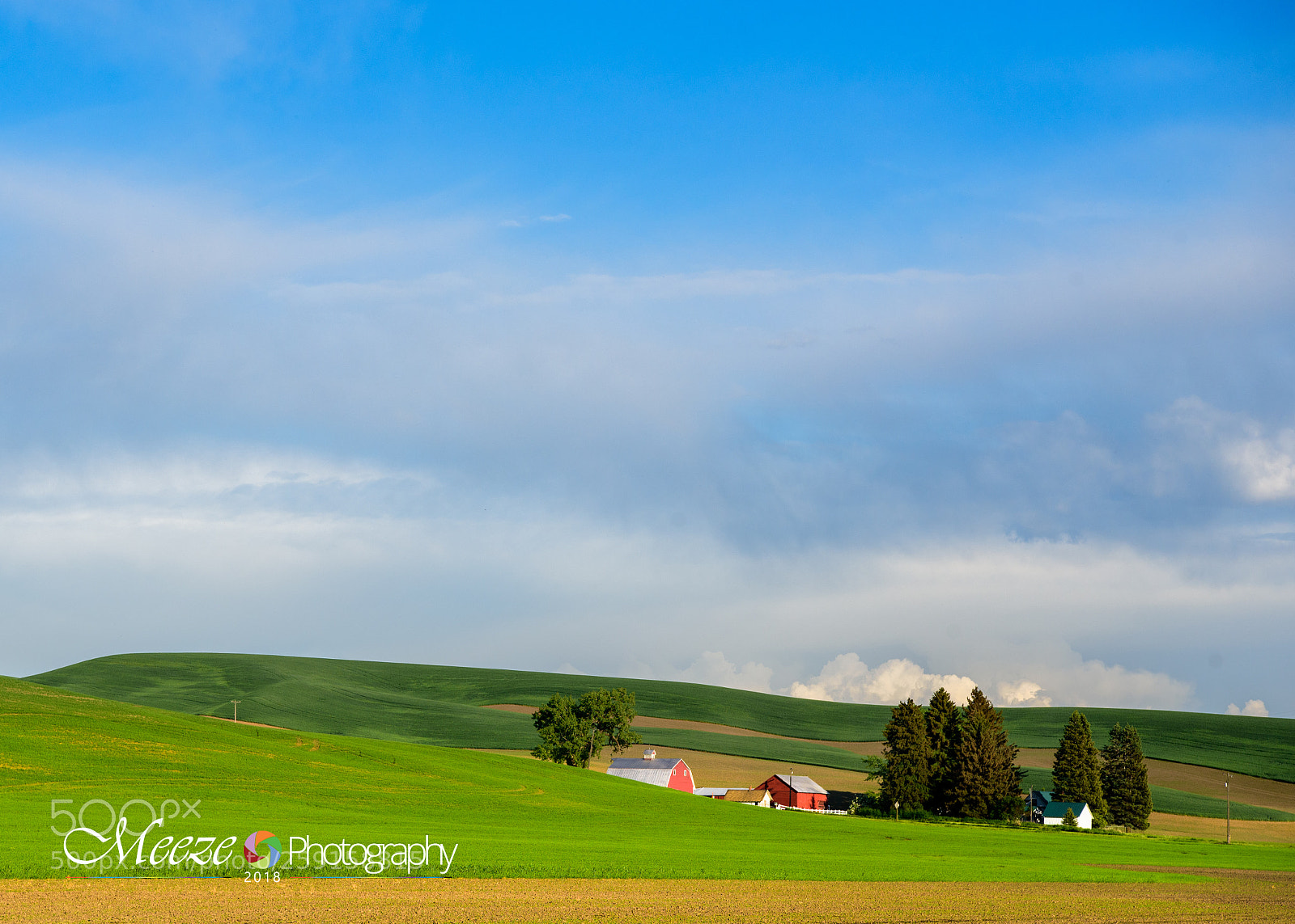 Nikon D750 sample photo. Pullman washington photography