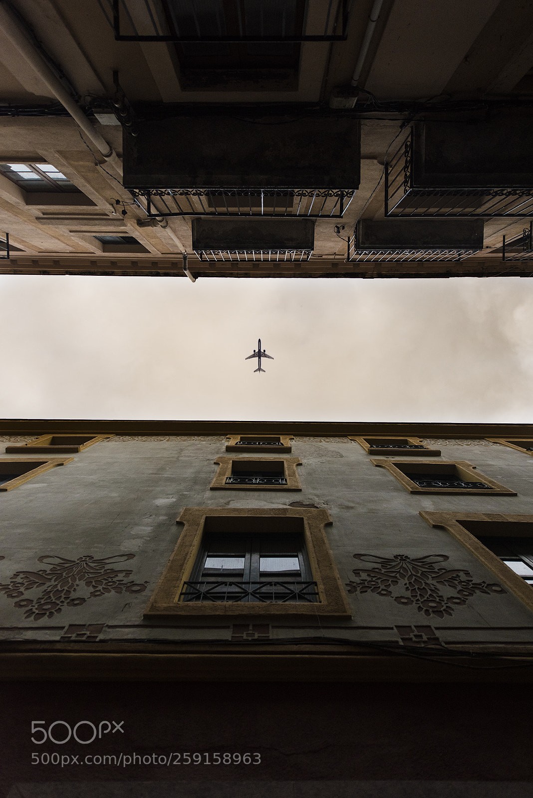 Nikon D810 sample photo. Look up! photography