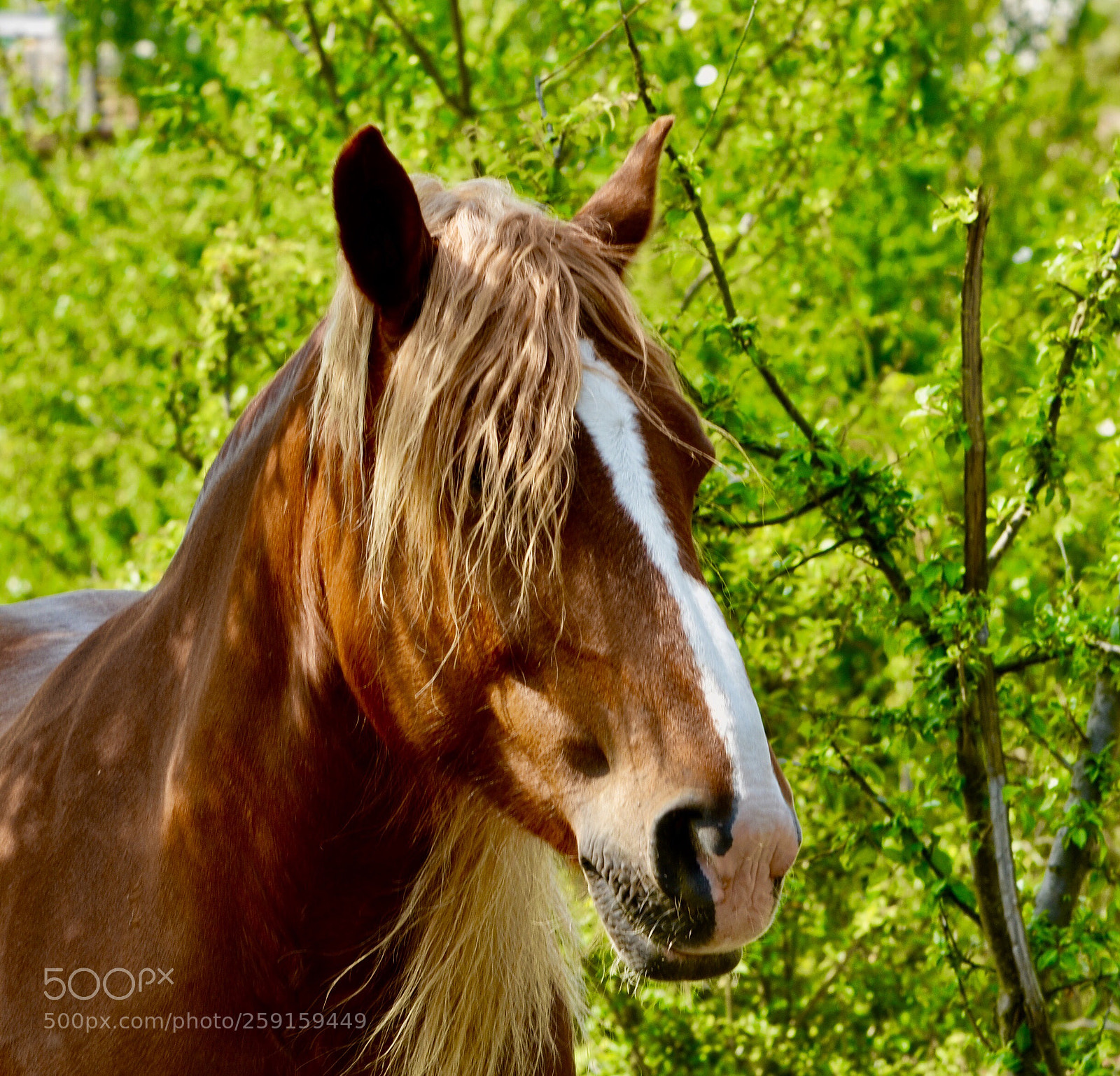 Nikon D5100 sample photo. Portrait photography