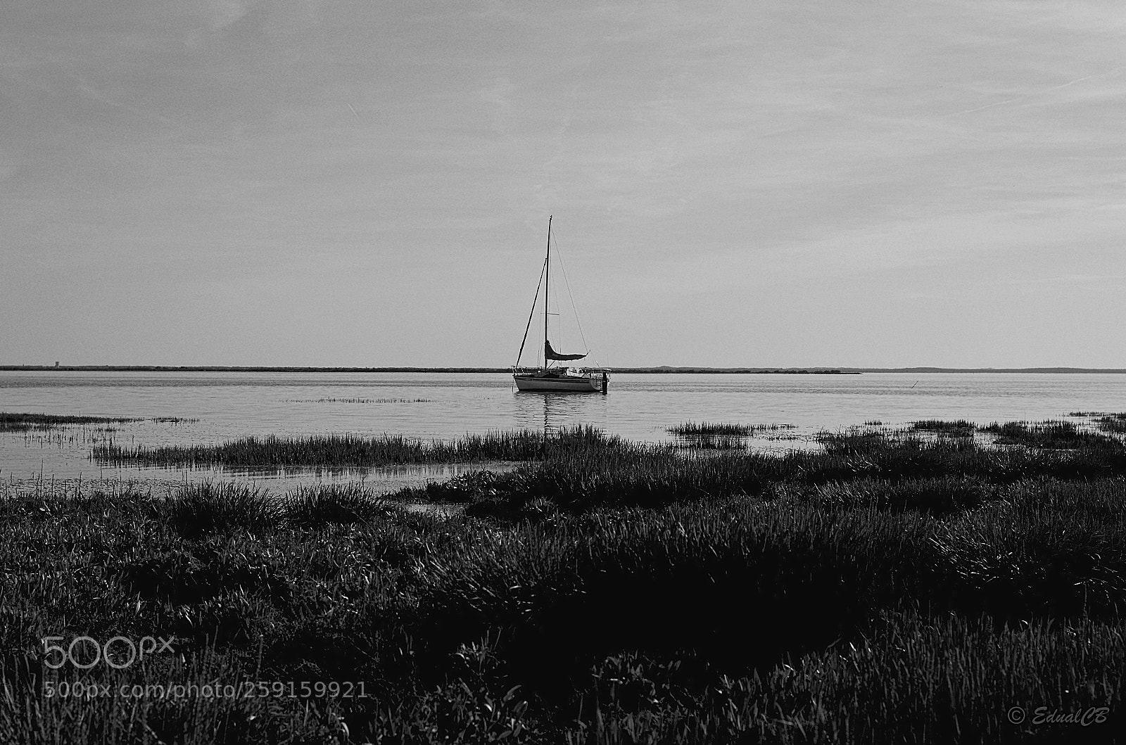 Pentax K-5 sample photo. Black and white small photography
