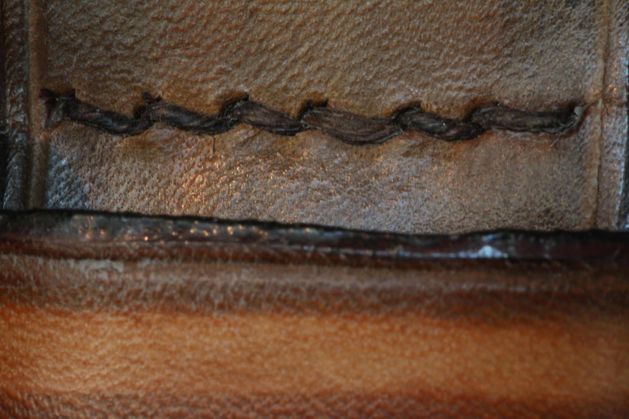 Canon EF 100mm F2.8 Macro USM sample photo. Img photography