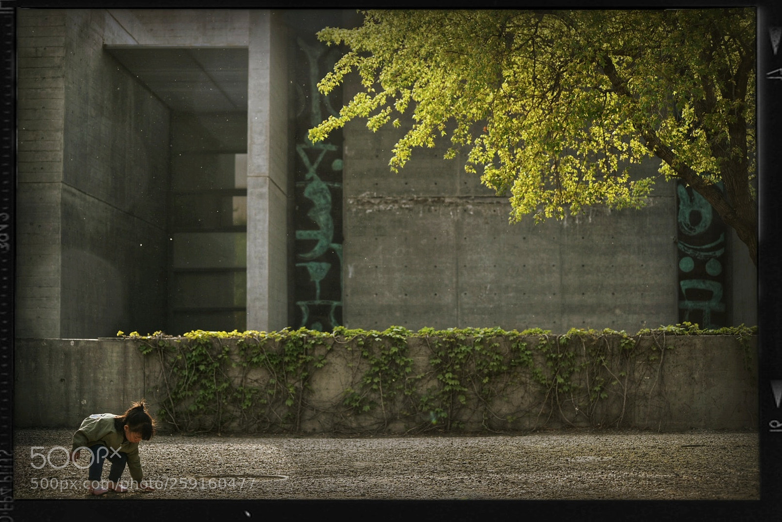 Nikon D750 sample photo. 拾起春天 photography