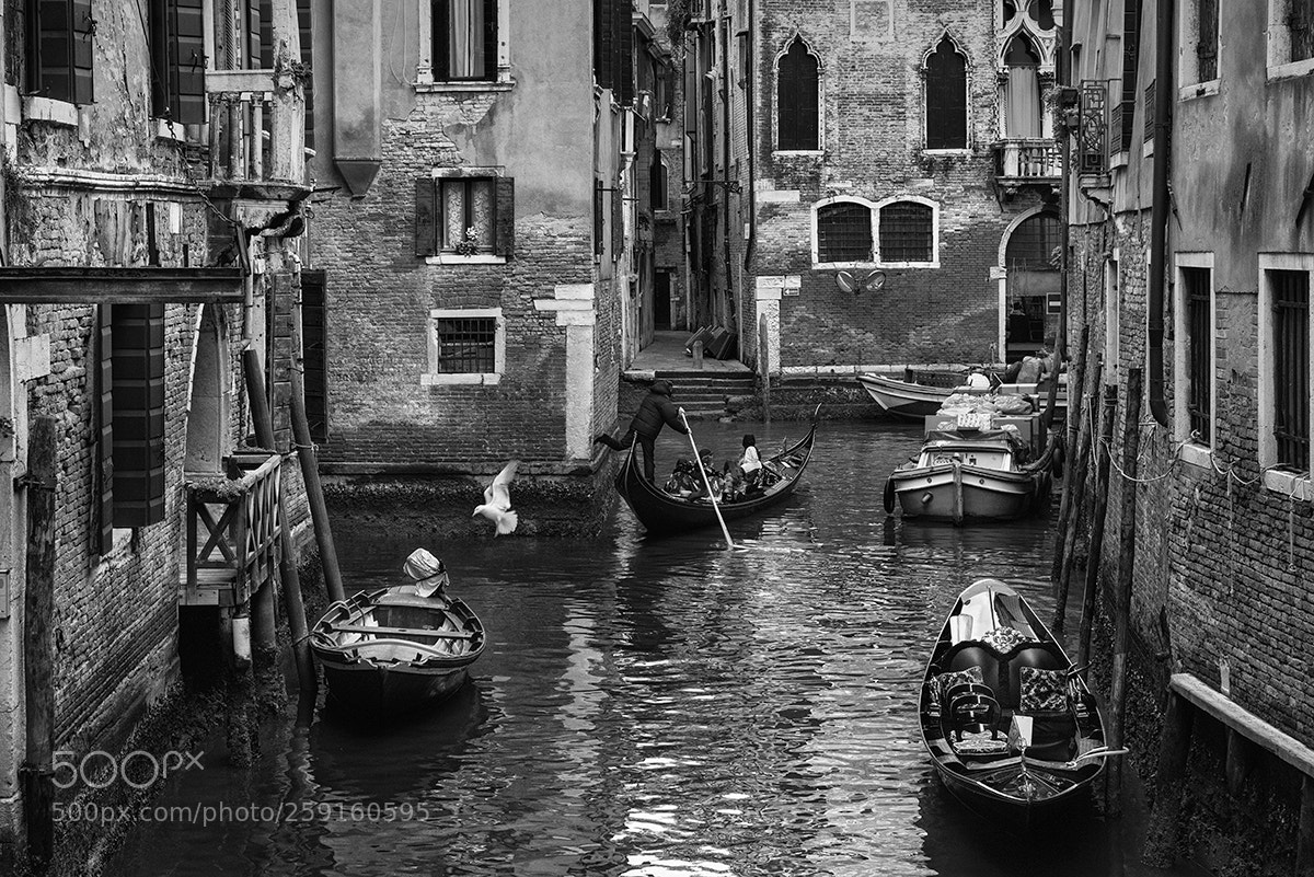 Nikon D810 sample photo. Venice canal manoeuvres photography