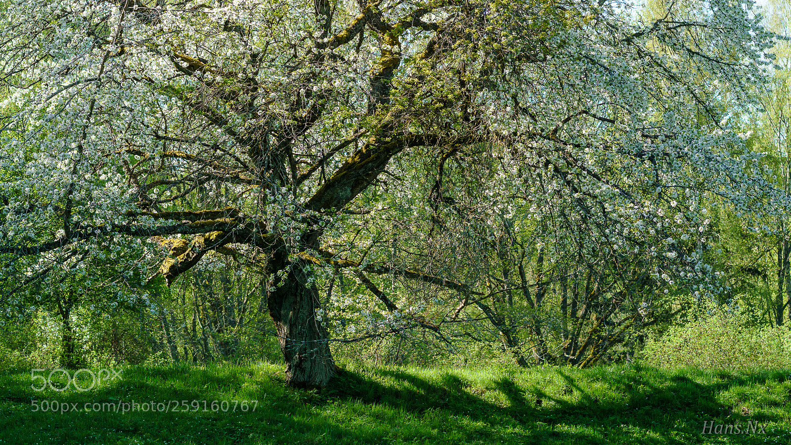 Sony a6000 sample photo. . photography