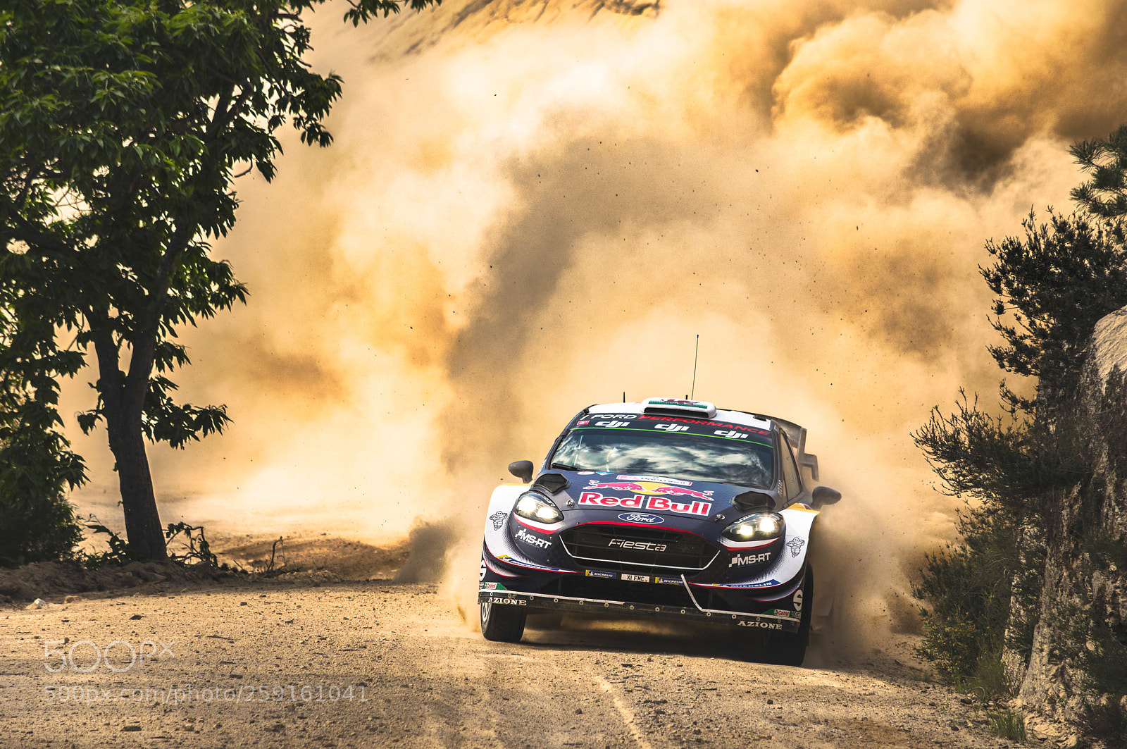 Nikon D800 sample photo. Elfyn evans - portugal 2018 photography