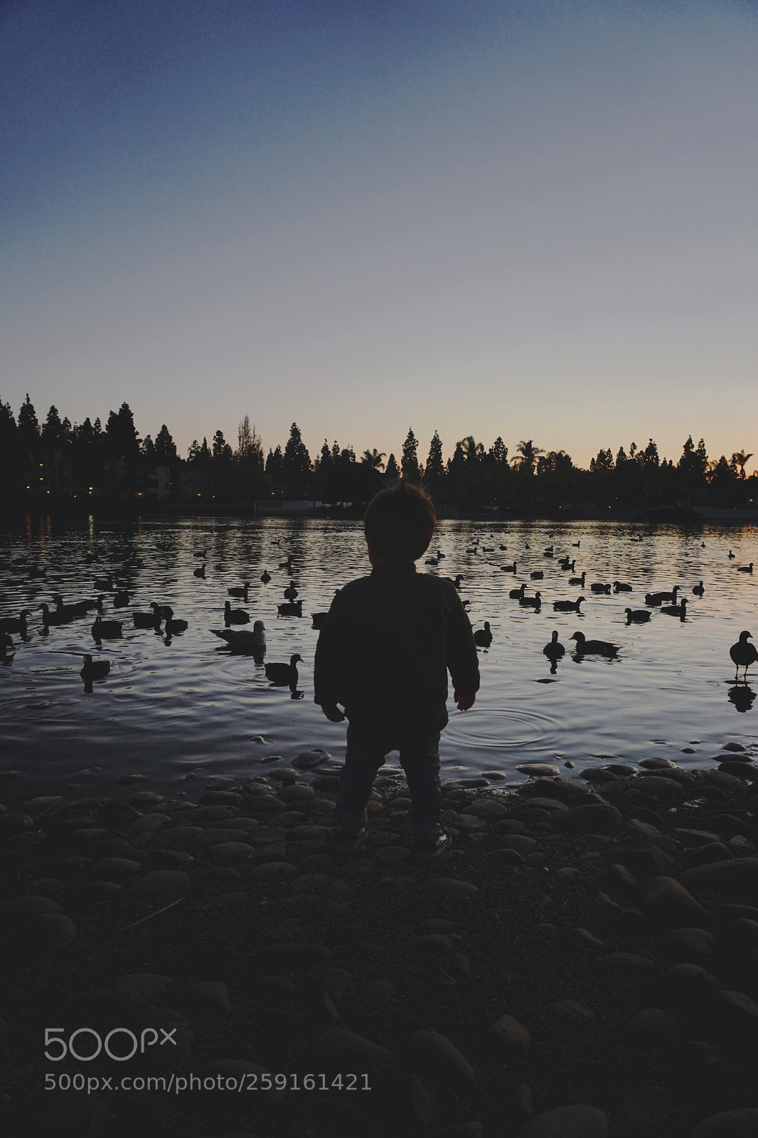 Sony a6300 sample photo. Nature boy. photography