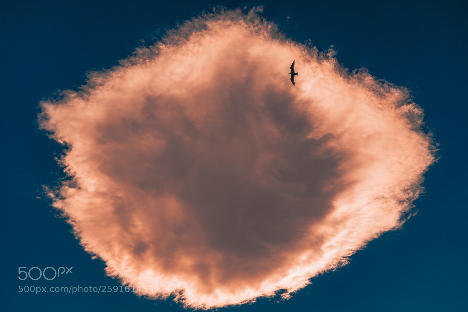 Canon EOS 6D sample photo. Cloud photography